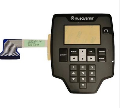 PictureAltAttribute - 597274301-JPG